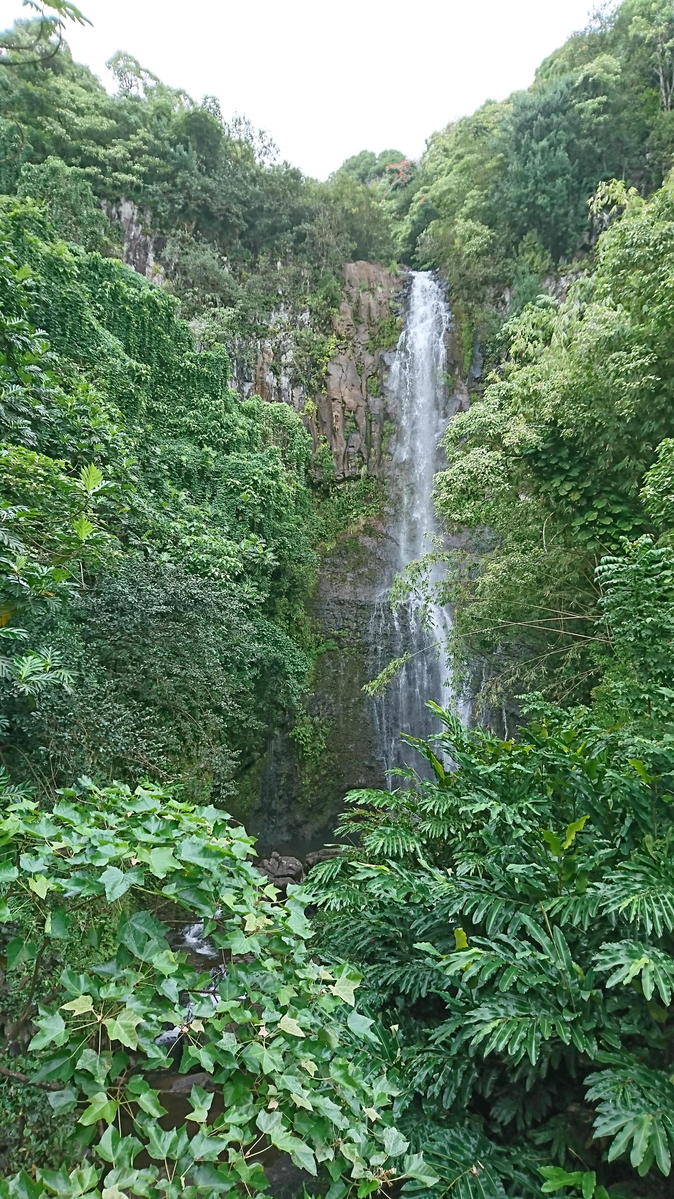 vattenfall hawaii retreat